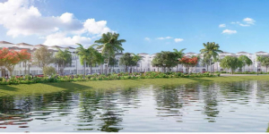 Mặt bằng biệt thự Vinhomes Ocean Park
